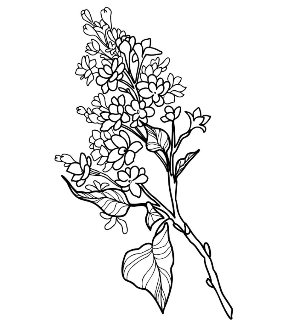 Lilac Avenue Vintage  Logo